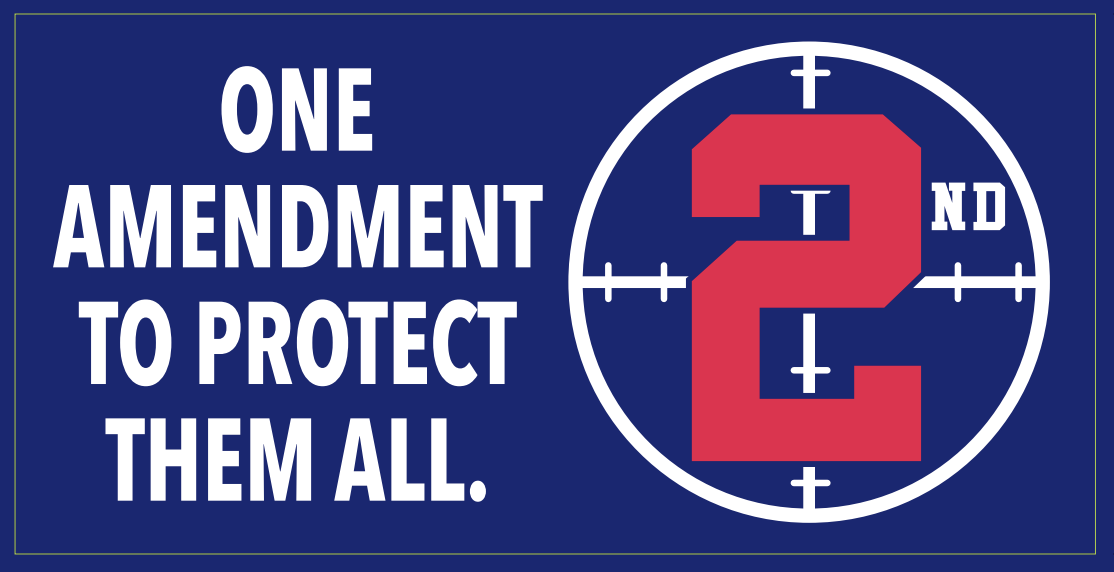 One Amendment To Protect Them All 2nd - Bumper Sticker