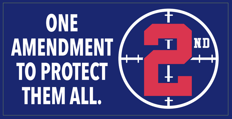 One Amendment To Protect Them All 2nd  - Bumper Sticker