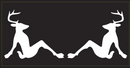 Two Deer Sitting - Bumper Sticker