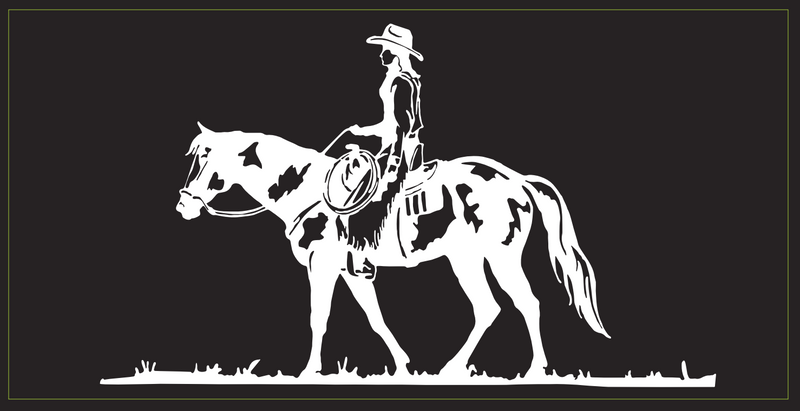 Cowgirl On Horse- Bumper Sticker
