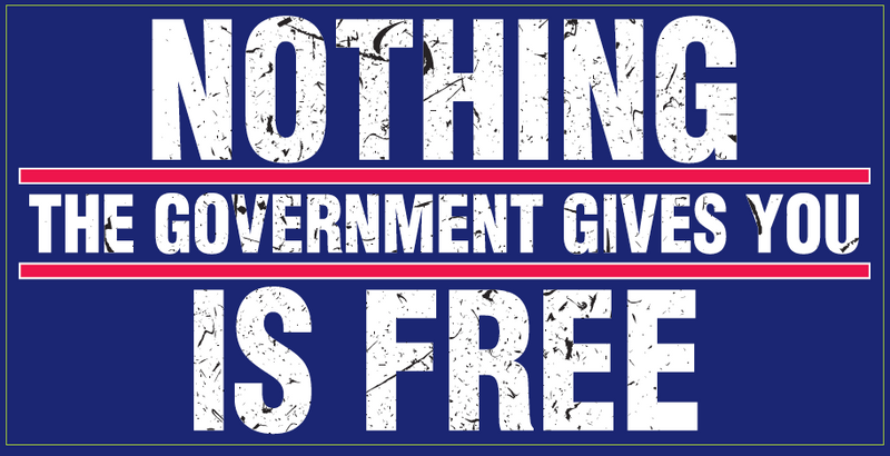 Nothing The Government Gives You Is Free - Bumper Sticker
