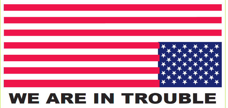 We Are In Trouble Upside USA Flag - Bumper Sticker
