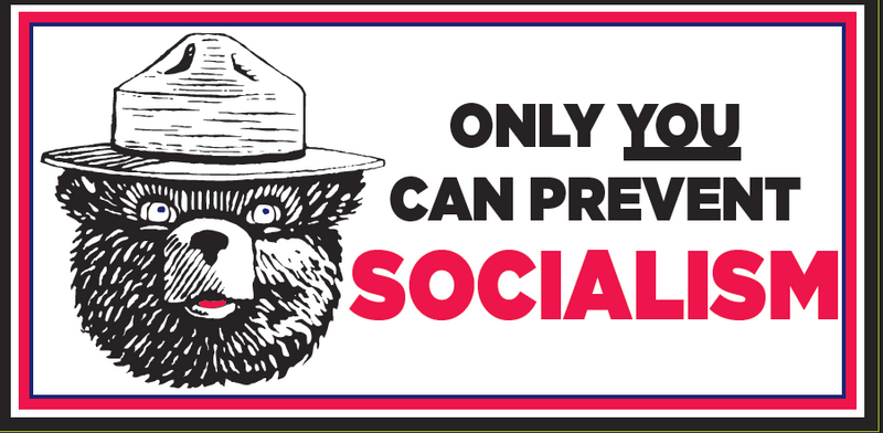 Only You Can Prevent Socialism  - Bumper Sticker