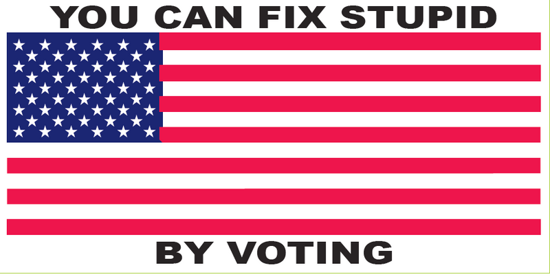 You Can Fix Stupid By Voting USA - Bumper Sticker