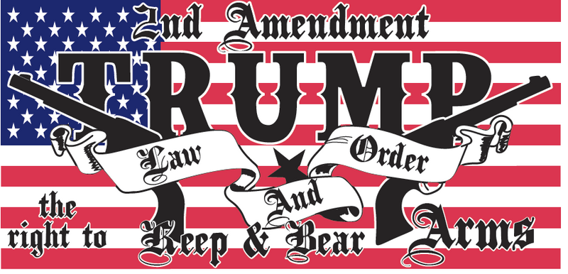 Trump 2nd Amendment Law And Order Aluminum Embossed License Plate