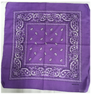 Assorted Bandana Paisley Head Wrap In Various Colors 100% Cotton 22"X22"