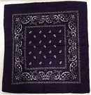 Assorted Bandana Paisley Head Wrap In Various Colors 100% Cotton 22"X22"