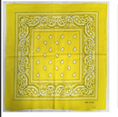 Assorted Bandana Paisley Head Wrap In Various Colors 100% Cotton 22"X22"