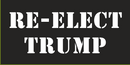Re-Elect Trump Black & White Bumper Sticker