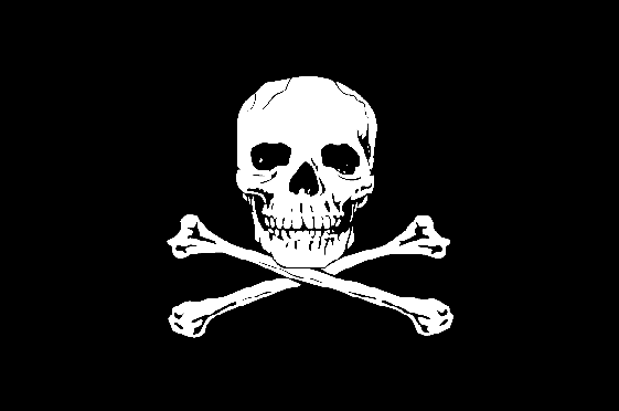 Skull N Bones Pirate 12"x18" Double Sided Flag With Grommets ROUGH TEX® 68D