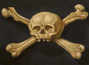 Skull and Bones 3'X5' Flag ROUGH TEX® 100D Old Pirate