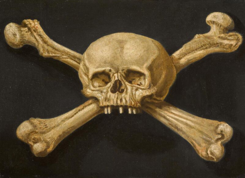 Skull and Bones 3'X5' Flag ROUGH TEX® 100D
