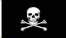 Skull N Bones 2'x3' Flag ROUGH TEX® 100D