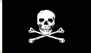 Skull N Bones 4'x6' Flag ROUGH TEX® 100D