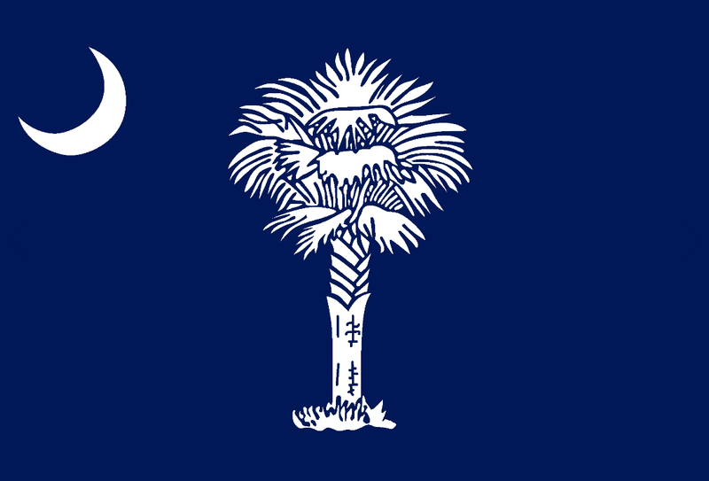 South Carolina 3'X5' Flag Rough Tex® 200D Official SC State Banner Brass Grommets Nylon