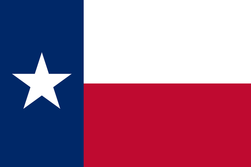 Texas 200D Nylon 3'X5' Printed Flag