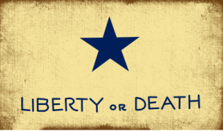 LIBERTY OR DEATH TROUTMAN 3X5 Feet TEXAS FLAG 1836 Original Vintage