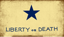 Troutman Liberty or Death 3'X5' Embroidered Flag ROUGH TEX® 600D Nylon