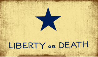 Troutman Liberty or Death 3'X5' Embroidered Flag ROUGH TEX® 600D Nylon