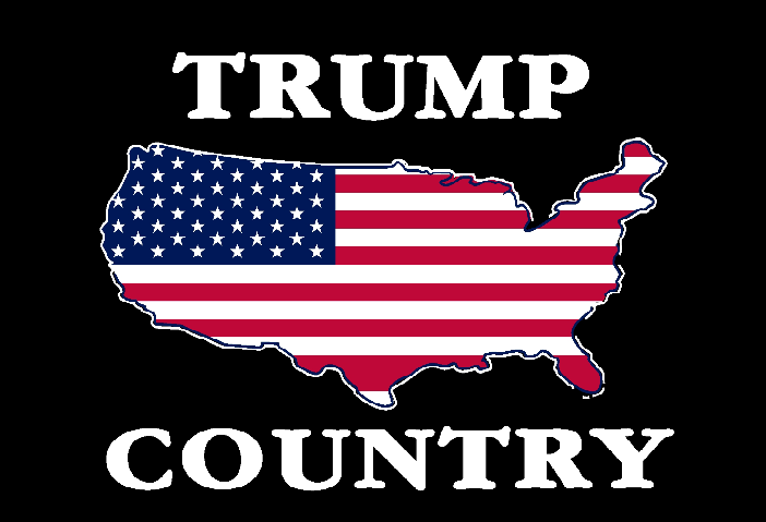 Trump Country 12''x18'' Nylon Stick Flags Rough Tex ®68D