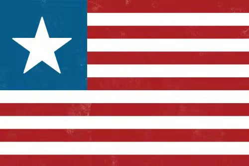 Texas USA 3'X5' Flag ROUGH TEX® 100D