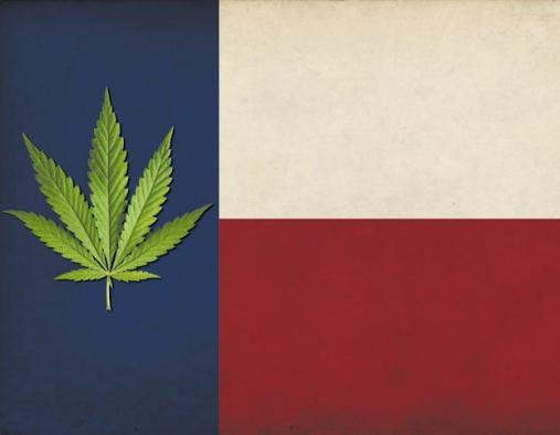 Texas Cannabis Leaf 3'X5' Flag ROUGH TEX® 100D