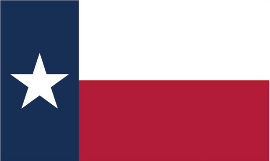 Texas 6'x10' Flag ROUGH TEX® 100D