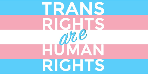 Trans Rights Human Rights 12