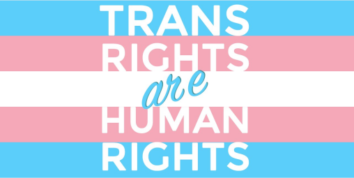 Trans Rights Human Rights 12"x18" Flag ROUGH TEX® 100D With Grommets