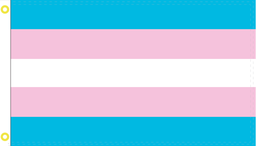 Transgender 3'X5' Flag ROUGH TEX® 100D Pride