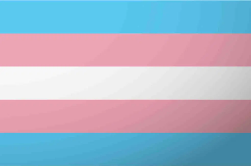 Transgender Pride 4"x6" Desk Stick Flag Rough Tex® 68D