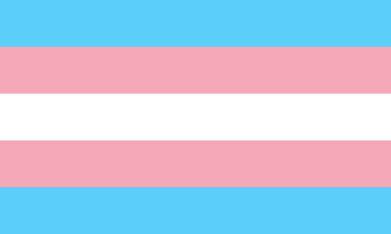 Transgender 12"x18" Double Sided Nylon Flag With Grommets ROUGH TEX® 68D
