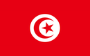 Tunisia 3'X5' Flag ROUGH TEX® 100D