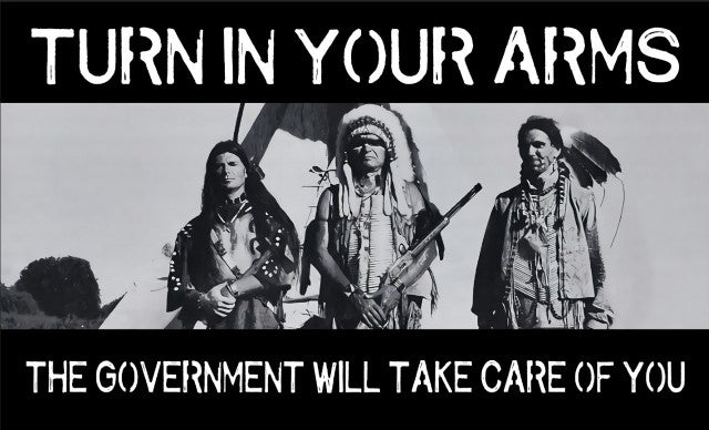 Turn In Your Arms The Government Will Take Care Of You Bumper Sticker