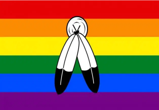 Two Spirit Rainbow Pride 4x6 Desk Stick Flag Rough Tex® 68d 6178