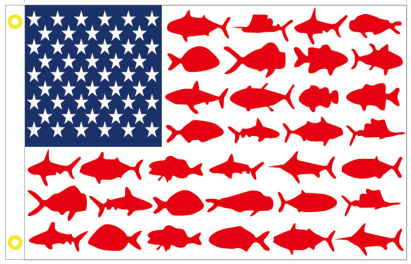 USA Beach Life 4'x6' Flag Rough Tex® 100D