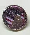 USA Eagle Round Lapel Pin