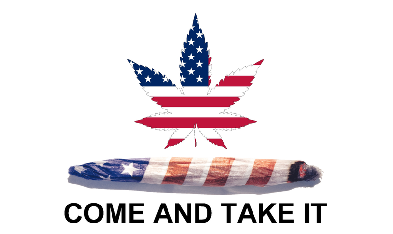 USA Leaf Come and Take It 3'x5' Flag ROUGH TEX® 68D Nylon