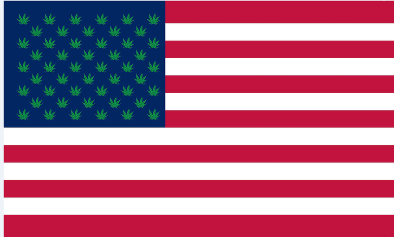 USA Cannabis 3'x5' Flag ROUGH TEX® 68D Nylon