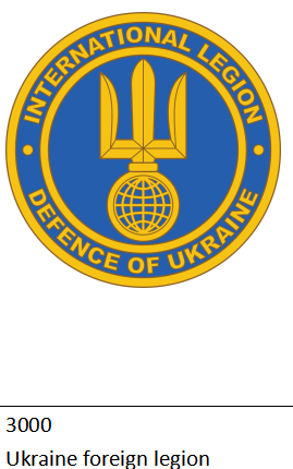 Ukraine Foreign Legion Lapel Pin