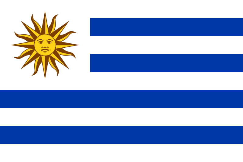 Uruguay 12"x18" Car Flag Flag ROUGH TEX® 68D Single Sided