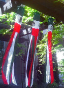 MEXICO SHINY PRINTED Flag Wind Sock