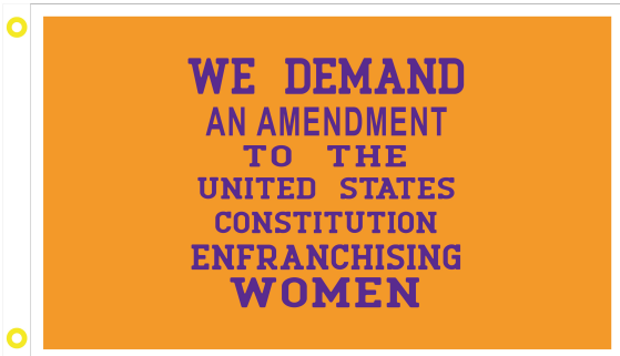 We Demand An Amendment To The US Constitution Enfranchising Women 3'X5' Flag Rough Tex® 100D