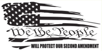 We The People Will Protect Our Second Amendment  Bumper Sticker