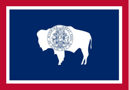 Wyoming 4'x6' Flag ROUGH TEX® 200D