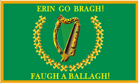 8th Alabama Infantry Emerald Guard 3'X5' Flag Rough Tex® 100D Erin Go Bragh! Irish