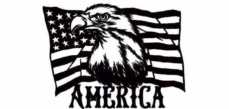 American Eagle Bumper Sticker