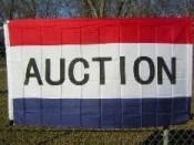 Auction Business 3'x5' 100D Flag Rough Tex ®