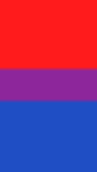 Bisexual 12"x18" 100D ROUGH TEX® Nylon Garden Flag