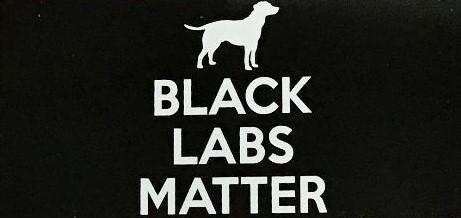 BLACK LABS MATTER BLACK LABRADOR RETRIEVER DOGS OFFICIAL BUMPER STICKER PACK OF 50 BUMPER STICKERS MADE IN USA WHOLESALE BY THE PACK OF 50!